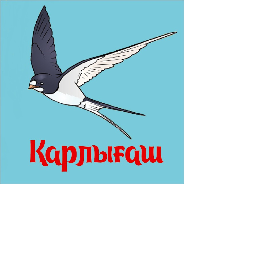 Жыныс мүшесін ұзартқыш қосымшалары бар нақты порно